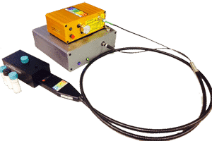 Raman System