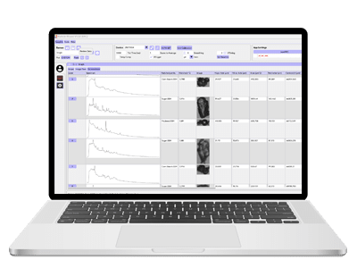 Step 5: Raman Spectral Matching and Classification